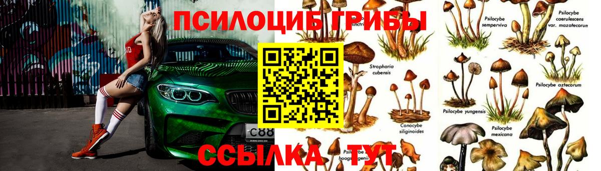 Псилоцибиновые грибы ЛСД  Вход с VPN  Бахчисарай 